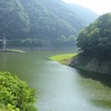 夏の雨