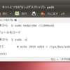 GW-USMicroNをububtuで使う