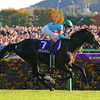 日曜競馬　展望