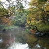 【東京・王子】名主の滝公園