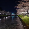 鶴岡公園の夜桜2017