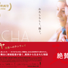 『パピチャ 未来へのランウェイ』短評