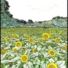 色んな風景～ひまわり畑・色鉛筆画風～