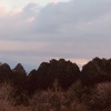 今朝の景色