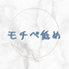 なんかしんどい手帳スキー
