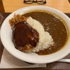 すき家新商品『デミバーグカレー』大盛りメガ盛りどっちを食べるか迷うよね！！やっぱりカレーとハンバーグはドリームだ！！