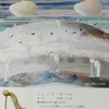 彫刻家 梶浦聖子　ドローイング展「ナーランド」。2019.9.1~15。Hasu no hana。EJIMA-SOU ２F。