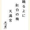 踊るよに紅白の梅天満宮