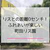 リスとの距離0センチ！町田リス園の濃厚な触れ合い体験とランチ情報