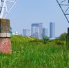 航海薄明と腰の痛み