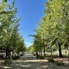 春なので、新しいアウトドアにトライです