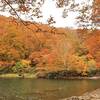 蔵王温泉「ドッコ沼」が紅葉の見頃に！秋の絶景スポットを散策｜2025年10月18日紅葉状況（山形県山形市）