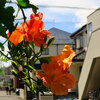梅雨明けと日常とPowershot S120