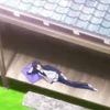 季節がいきなり変わるのほんともうやめて体がもたねえよ