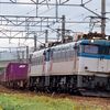 海峡下の電機の系譜【Ⅵ】　国鉄最後の交流電機・ED79（４）