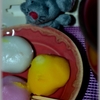 おみくじの引き方＆奈良の知る人ぞ知るパワースポットのはなし。