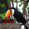 千葉動物園