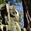 【両神山】色づく修験の道