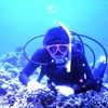 2003 沖縄ダイビング　　　その15