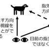 視線と指差しと三項関係と表象能力。