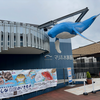 マリホ水族館