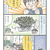 【エッセイ漫画】とりあえず植物を育てたい欲を満たしてやろうな