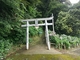 住吉自然公園 アジサイ 2026年 （熊本県宇土市）