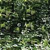 【341】Gas「Der Lange Marsch」
