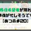 【プレイ日記】島に移住希望者が現れた！準備が忙しそうです【あつ森＃20】