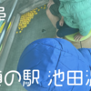 【お出かけ】寒い冬こそ足湯。道の駅池田温泉【岐阜】