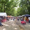 下鴨神社の納涼古本まつりへ