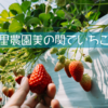 【おでかけ】ふる里農園美の関でいちご狩り【岐阜】