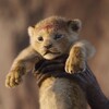 The Lion King / ライオン・キング (2019) 1707本目