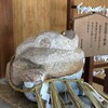 「下呂温泉寺とゲロゲーロ」（下呂の御朱印）