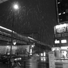 東京の雪
