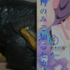 読書メモ：読了「神のみぞ知るセカイ(09)」(若木民喜)