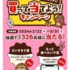  【３/３１】サク山チョコ次郎の日 キャンペーン【レシ/web】