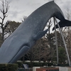 国立科学博物館前のクジラに会ってきた【上野駅界隈の散策】