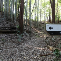 伊奈氏屋敷跡　（埼玉県　伊奈町）2