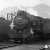 49663