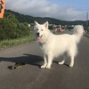夜は涼しい