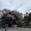 なかよし保育　🌸3月🌸