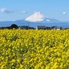 富士山たっぷり