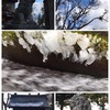 諏訪大社・上社前宮を経由して薬師寺岐阜別院の初薬師へ