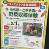 阪神甲子園｜キッズクラブ会員限定！2025年2月1日（土）ららぽーと甲子園で「野菜収穫体験」ができます🥦