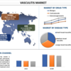 血管炎市場の規模、シェア、成長、および2030年までの予測