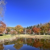 「紅葉」の時期ですね