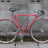 入荷しました。DE ROSA 赤。