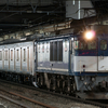 中央東線撮影記2019。E257系あずさ・かいじ号、E353系、富士急6000系（EF64牽引甲種輸送も）、EH200貨物列車、身延線313系。