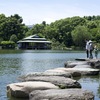 清澄白河：花菖蒲が見頃な「清澄庭園」（※スッポンの写真あり）